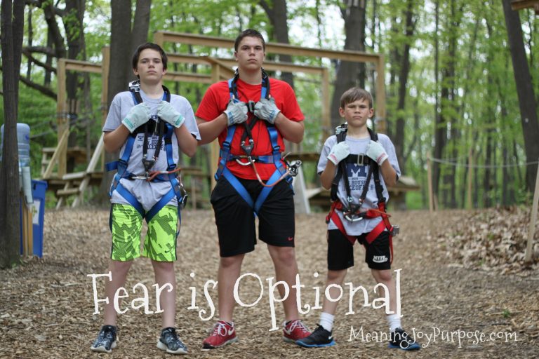 Fear