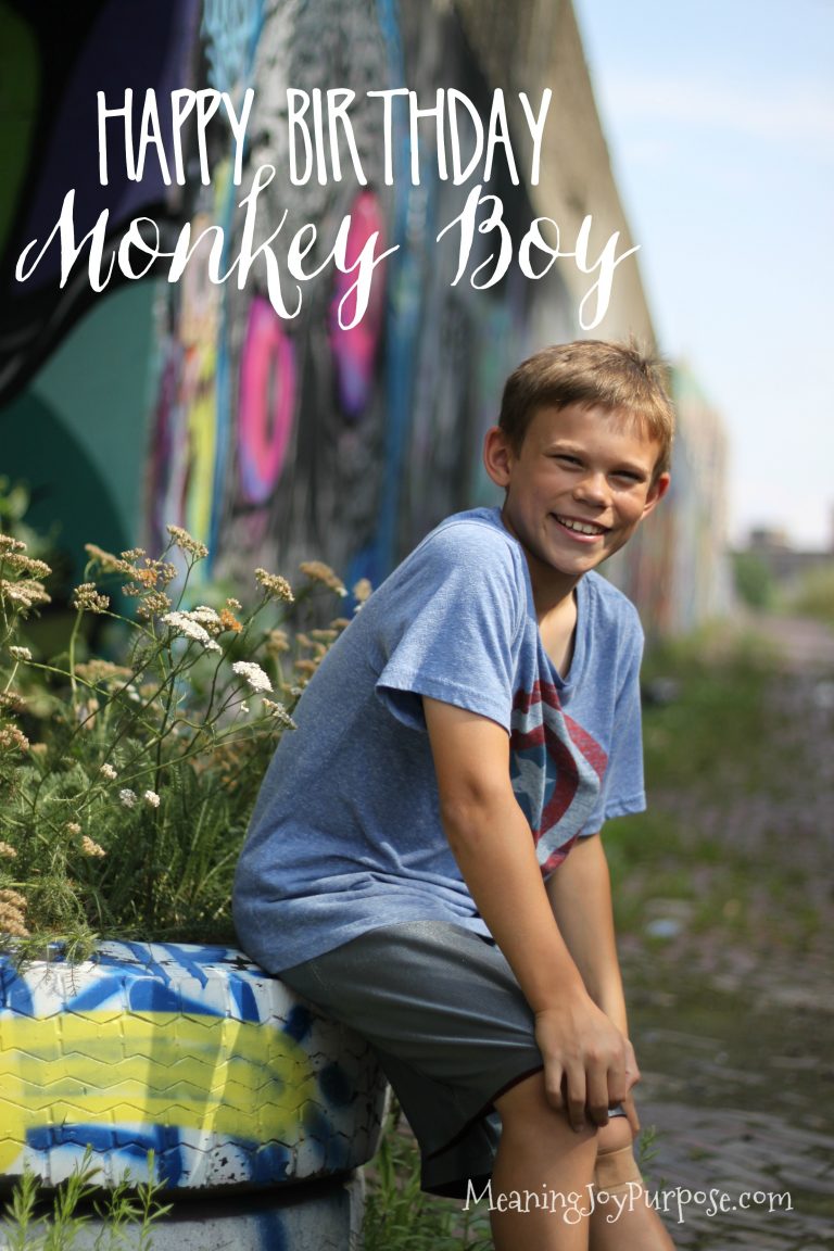 Happy Birthday, Monkey Boy!